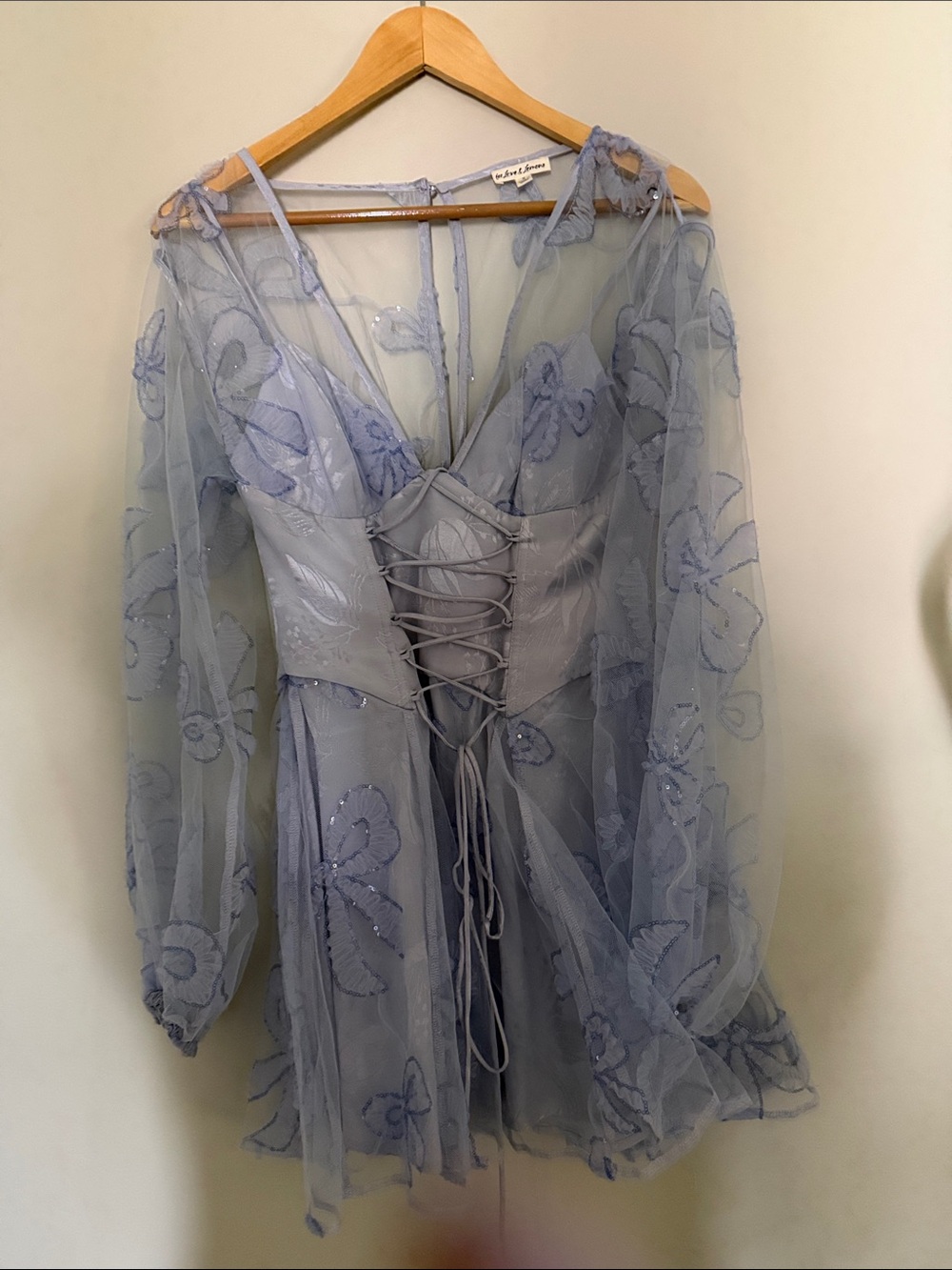 For Love And Lemons Sheer Embroidered Lace-Up Mini Dress
